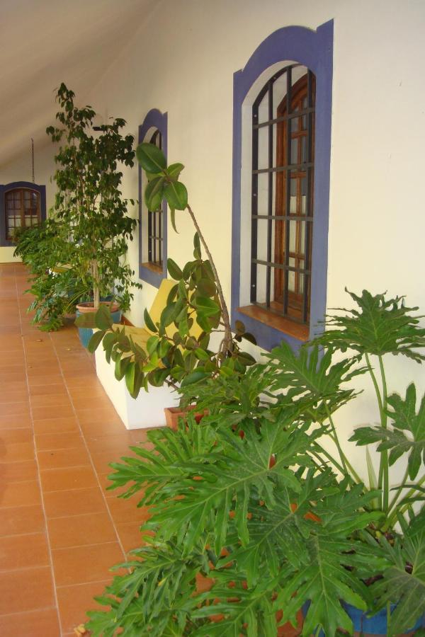 Bolotas. Appartement Lavre